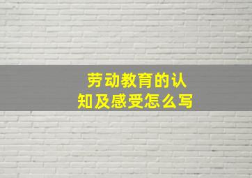 劳动教育的认知及感受怎么写