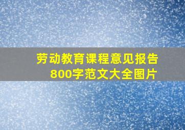 劳动教育课程意见报告800字范文大全图片