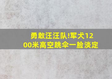 勇敢汪汪队!军犬1200米高空跳伞一脸淡定