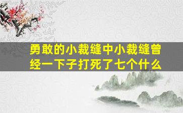 勇敢的小裁缝中小裁缝曾经一下子打死了七个什么