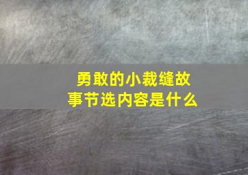 勇敢的小裁缝故事节选内容是什么