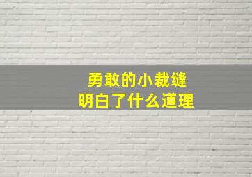 勇敢的小裁缝明白了什么道理