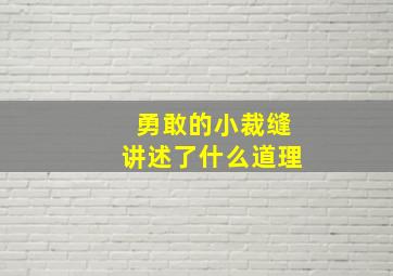 勇敢的小裁缝讲述了什么道理