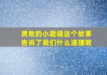 勇敢的小裁缝这个故事告诉了我们什么道理呢