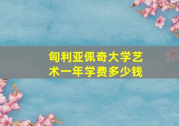 匈利亚佩奇大学艺术一年学费多少钱