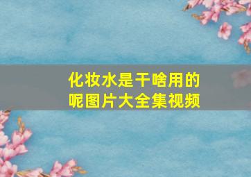 化妆水是干啥用的呢图片大全集视频