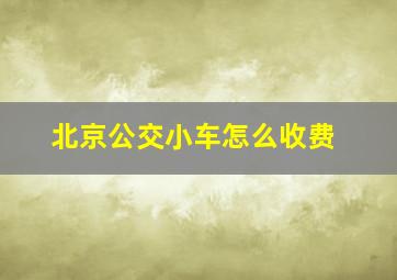 北京公交小车怎么收费