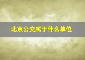 北京公交属于什么单位