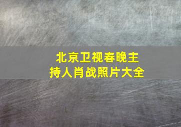 北京卫视春晚主持人肖战照片大全