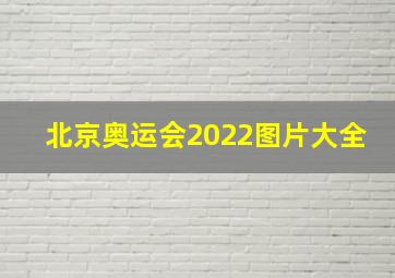 北京奥运会2022图片大全