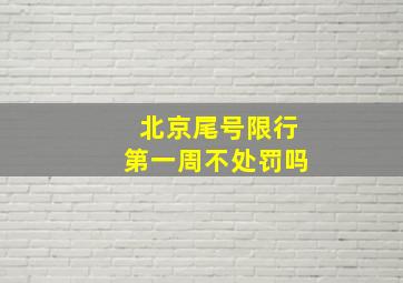 北京尾号限行第一周不处罚吗