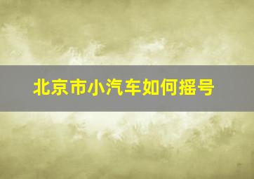 北京市小汽车如何摇号