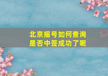 北京摇号如何查询是否中签成功了呢