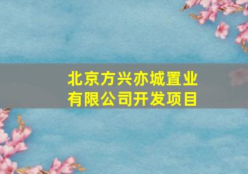 北京方兴亦城置业有限公司开发项目