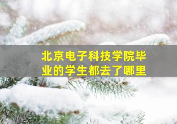 北京电子科技学院毕业的学生都去了哪里