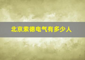 北京索德电气有多少人