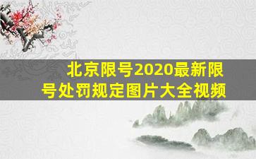 北京限号2020最新限号处罚规定图片大全视频