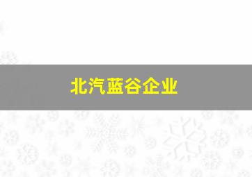 北汽蓝谷企业