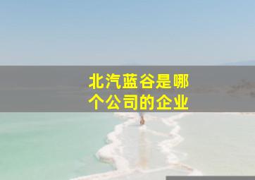 北汽蓝谷是哪个公司的企业