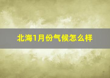 北海1月份气候怎么样