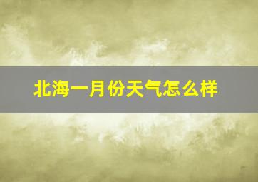 北海一月份天气怎么样