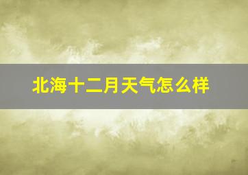 北海十二月天气怎么样