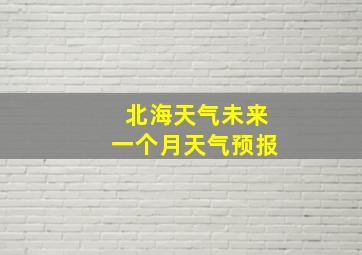 北海天气未来一个月天气预报