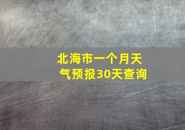 北海市一个月天气预报30天查询