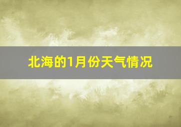 北海的1月份天气情况