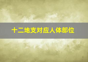 十二地支对应人体部位