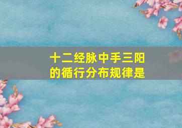 十二经脉中手三阳的循行分布规律是