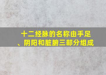 十二经脉的名称由手足、阴阳和脏腑三部分组成