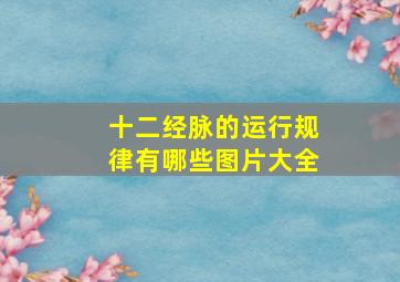 十二经脉的运行规律有哪些图片大全