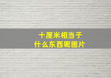 十厘米相当于什么东西呢图片