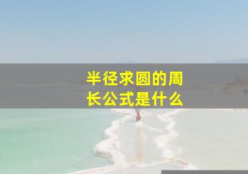 半径求圆的周长公式是什么