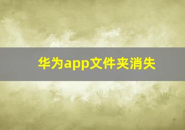 华为app文件夹消失