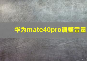 华为mate40pro调整音量