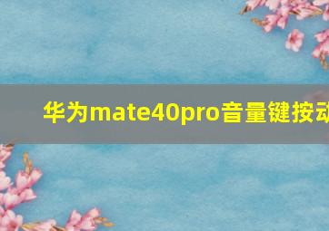 华为mate40pro音量键按动