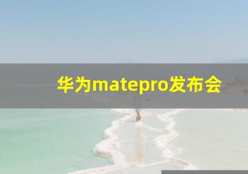 华为matepro发布会