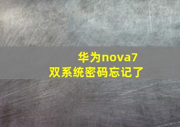 华为nova7双系统密码忘记了