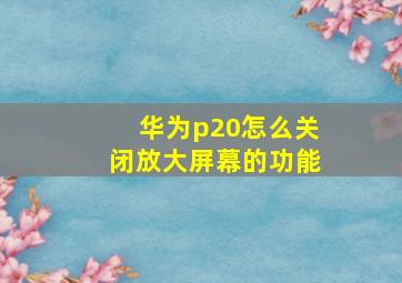 华为p20怎么关闭放大屏幕的功能