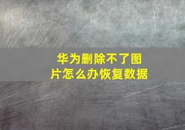 华为删除不了图片怎么办恢复数据