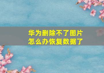 华为删除不了图片怎么办恢复数据了