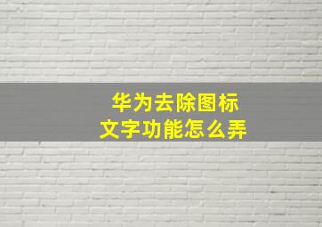 华为去除图标文字功能怎么弄