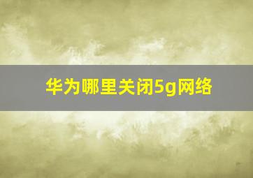 华为哪里关闭5g网络