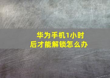 华为手机1小时后才能解锁怎么办