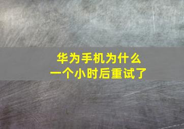 华为手机为什么一个小时后重试了