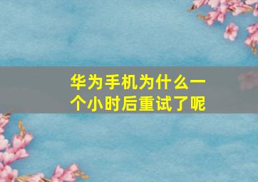 华为手机为什么一个小时后重试了呢