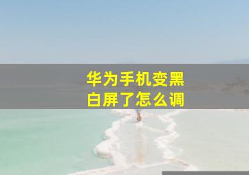 华为手机变黑白屏了怎么调