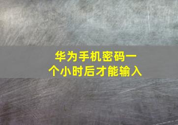 华为手机密码一个小时后才能输入